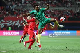 Cameroun: Une Colombe du Sud attrape un Lion indomptable